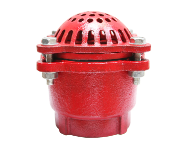 MALLEABLE IRON FOOT VALVE WITH FEMALE BSPP THREAD